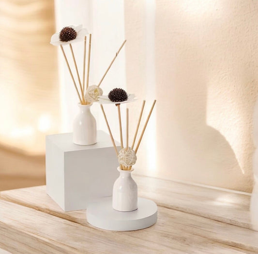 Petit diffuseur avec recharge « À la pièce »