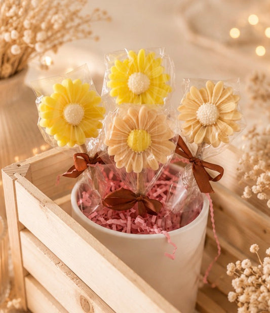 Sucettes marguerite parfumé 🌼