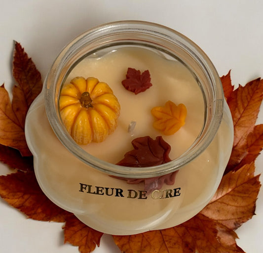 La citrouille enchantée