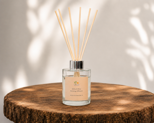 Diffuseur Nébrume 100ml